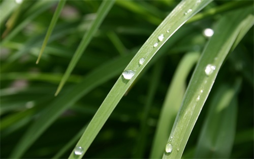 日语一级能力考题型,听力和口语水平的提升有助提升