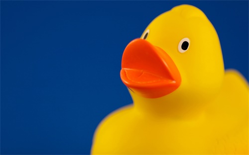 留学日语怎么说,留学、二等兵、柳加库、留学生活?
